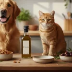 is olive oil good for dogs and cats