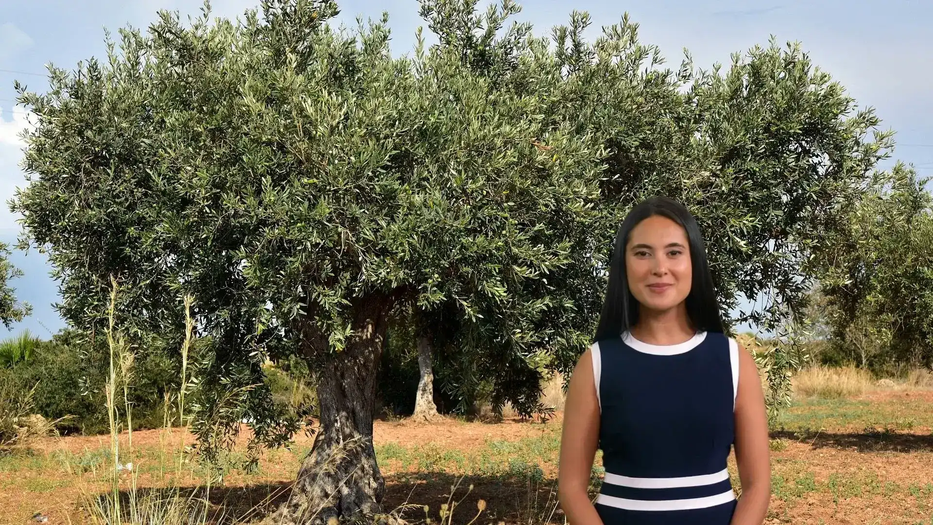 A woman with dark hair stands in front of a vibrant olive grove. She is wearing a dark blue and white sleeveless top and smiling gently at the viewer. The gnarled trunks and dense green leaves of the olive trees fill the background, evoking a sense of natural beauty and the origins of olive oil production.