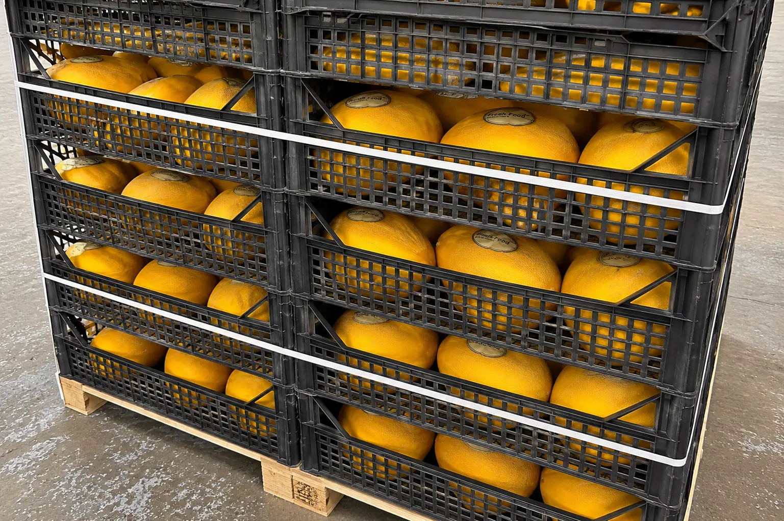 melons en gros